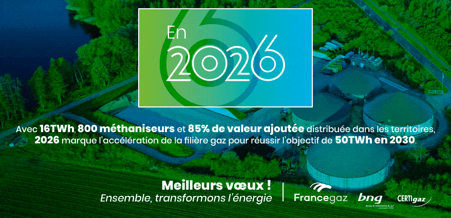 Meilleurs vœux 2026